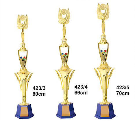 Troféu da Liga 3 mede 70 centímetros e pesa nove quilos! - Liga 3 -  Jornal Record